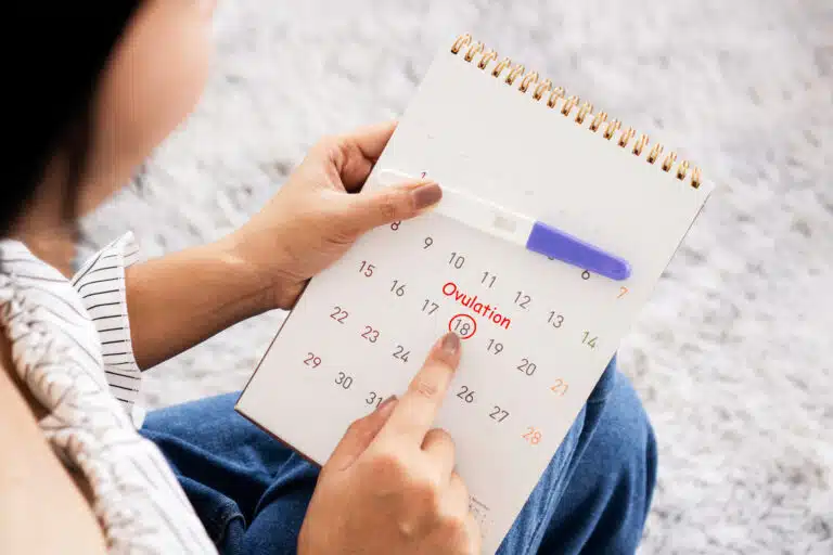 calendrier planification menstruelle cycle jour d&rsquo;ovulation test de grossesse fertilit&eacute; f&eacute;condit&eacute;