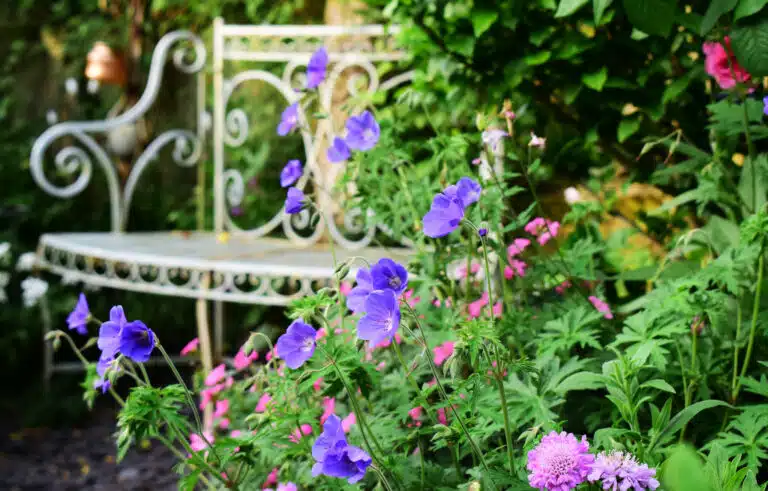 fleurs en mai au jardin