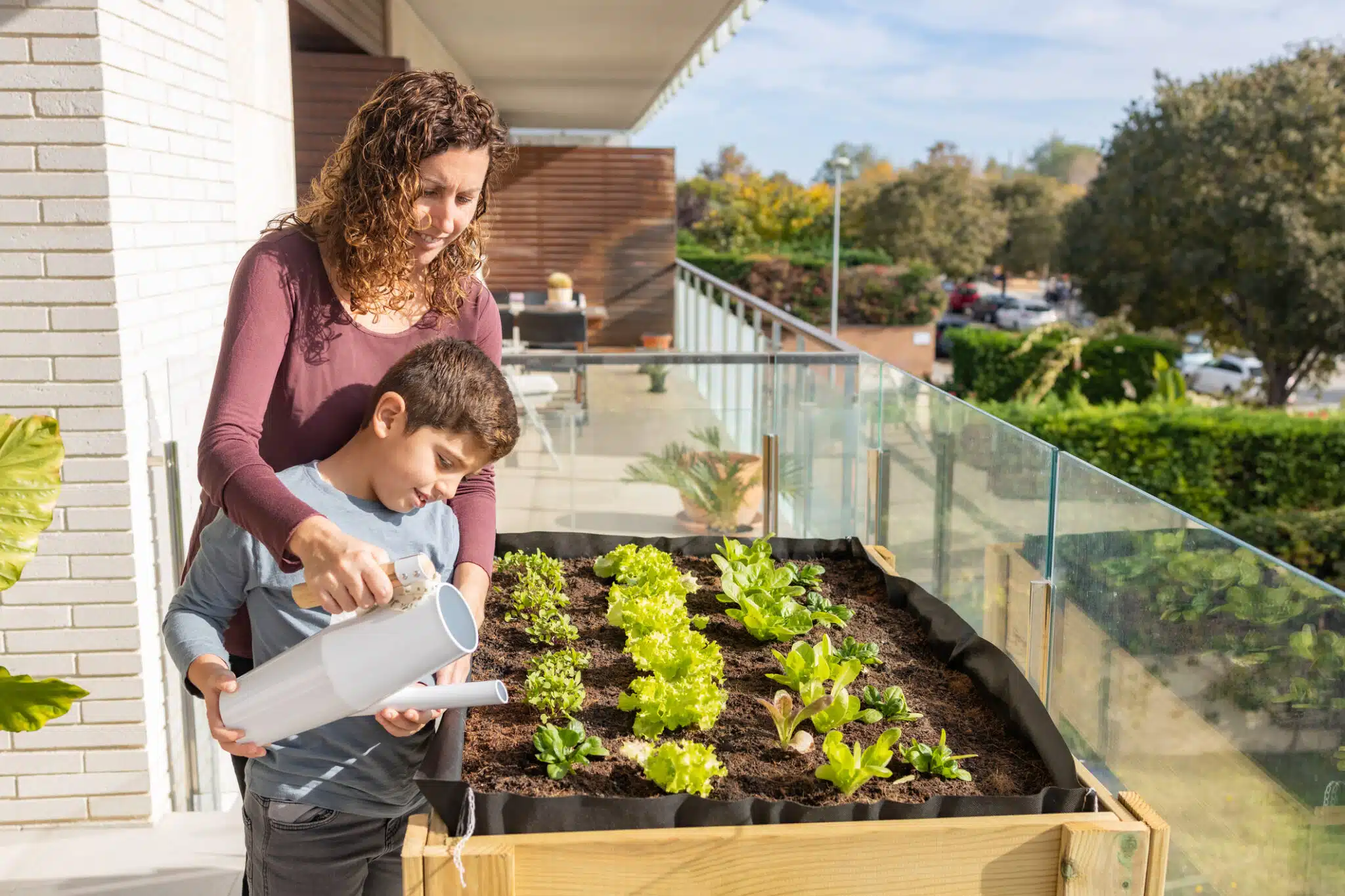 jardin communal urbain potager urbain légumes balcon
