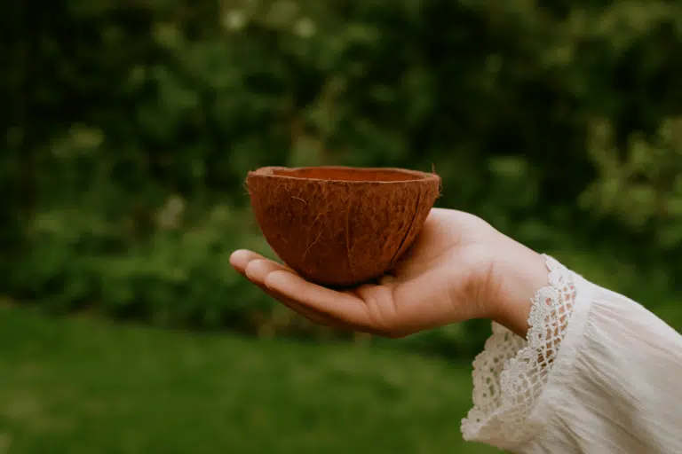 noix de coco utilisations au jardin