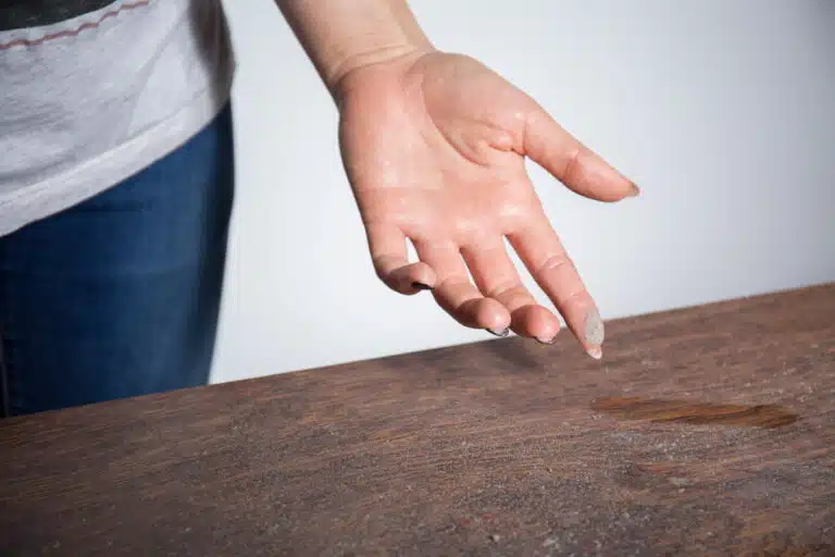 poussi&egrave;re maison surface pas propre