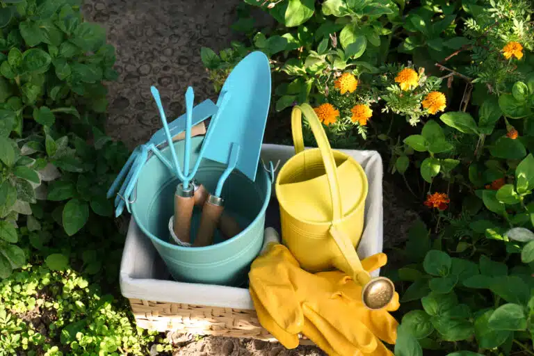 Panier avec arrosoir, outils de jardinage et gants en caoutchouc dans le jardin