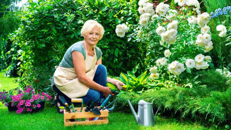 jardin jardinage paysagisme