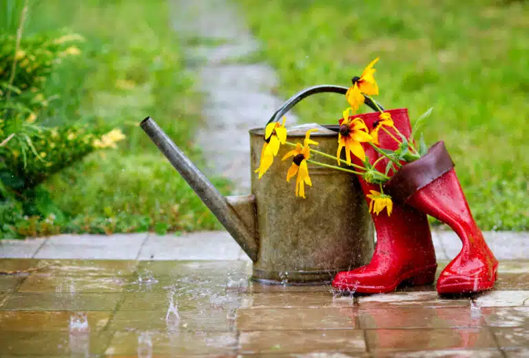 outils de jardinage pluie sept dormants jardin potager