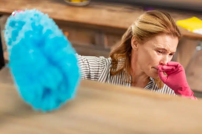 plumeau pour d&eacute;poussi&eacute;rer la poussi&egrave;re