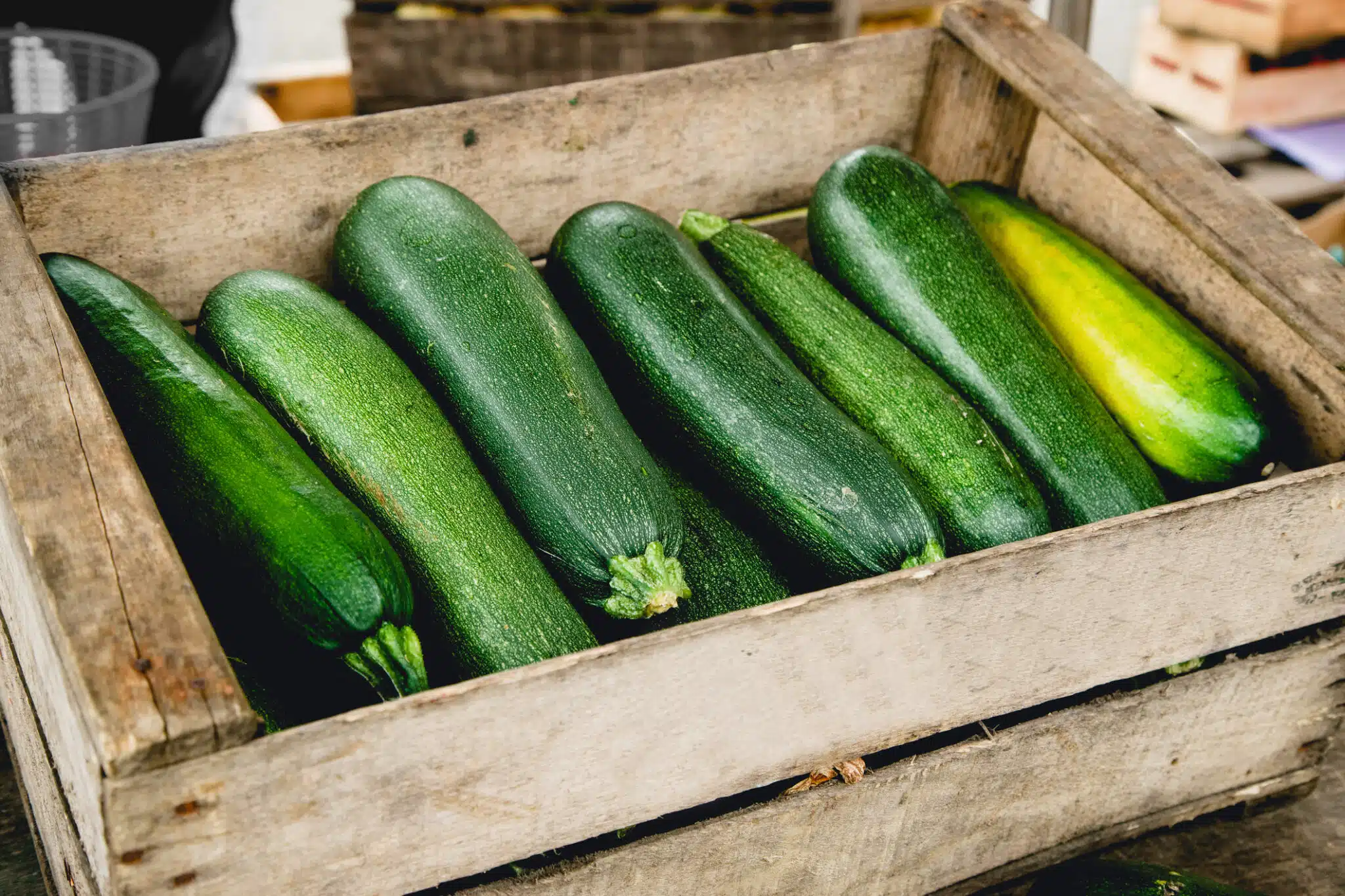 courgettes
