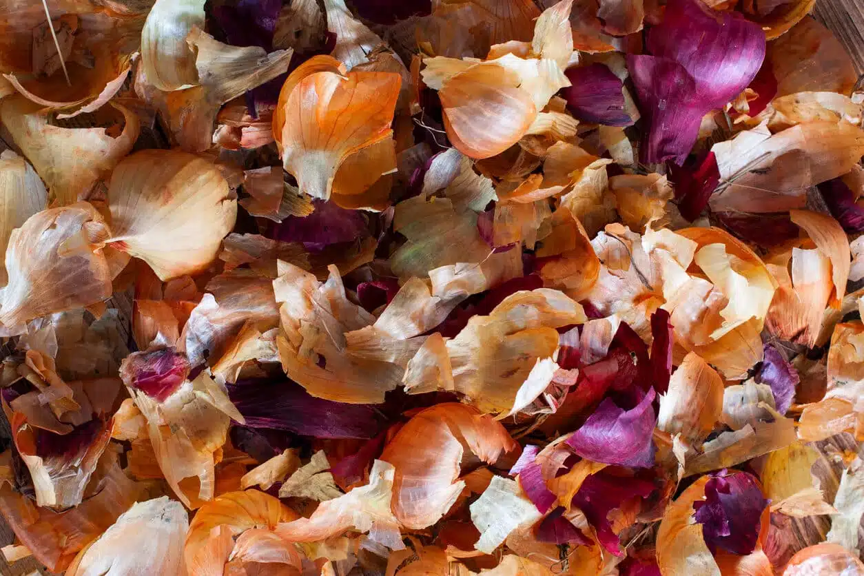 Les secrets pour transformer la peau d'oignon en bouillon, infusion et bien plus encore