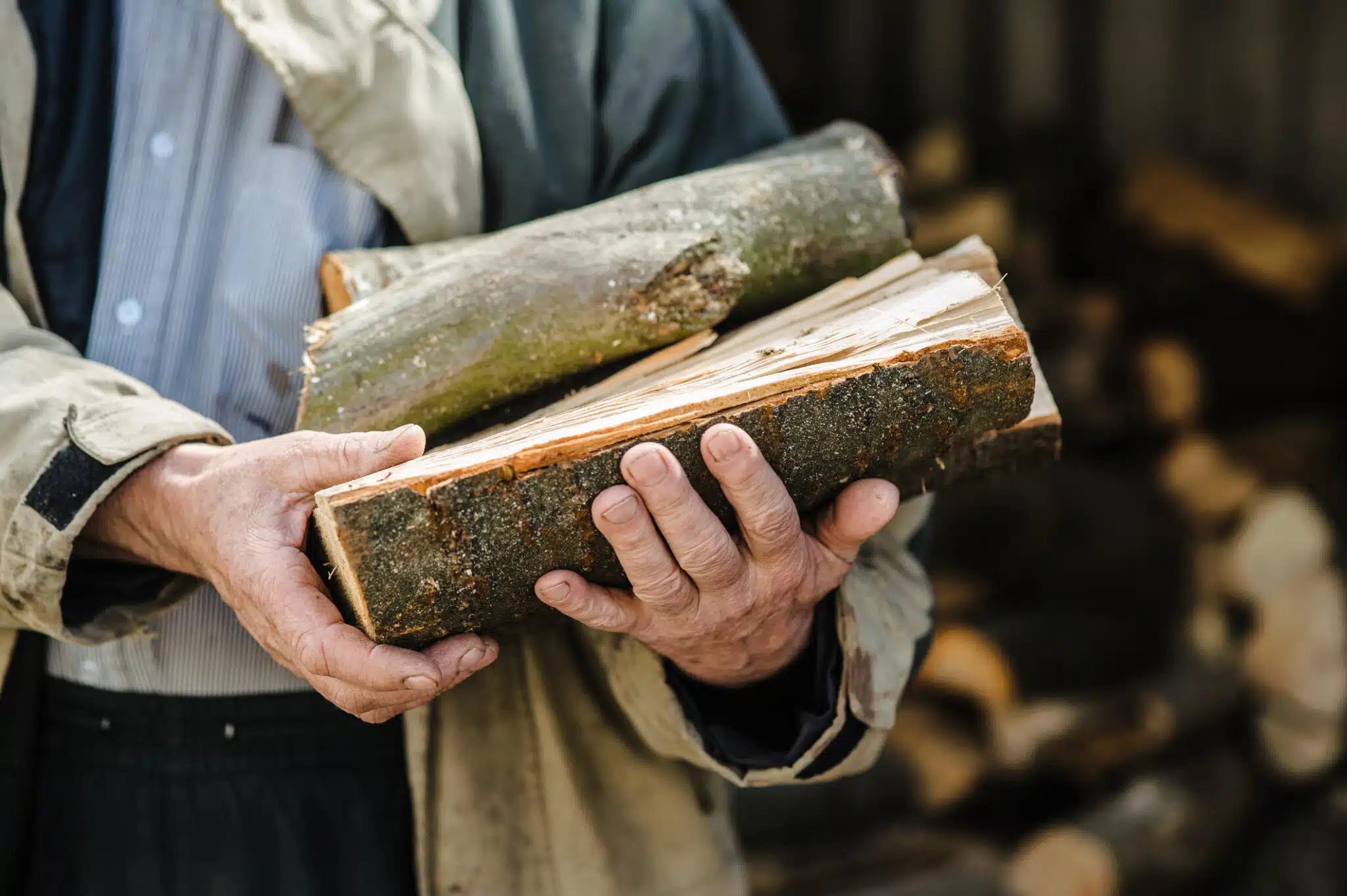 Pouvoir chauffant : quand la nature du bois fait toute la diff&eacute;rence