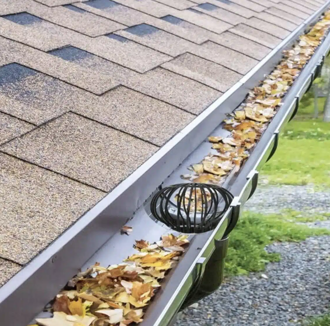 Lib&eacute;rez le potentiel de la r&eacute;cup&eacute;ration d'eau de pluie !