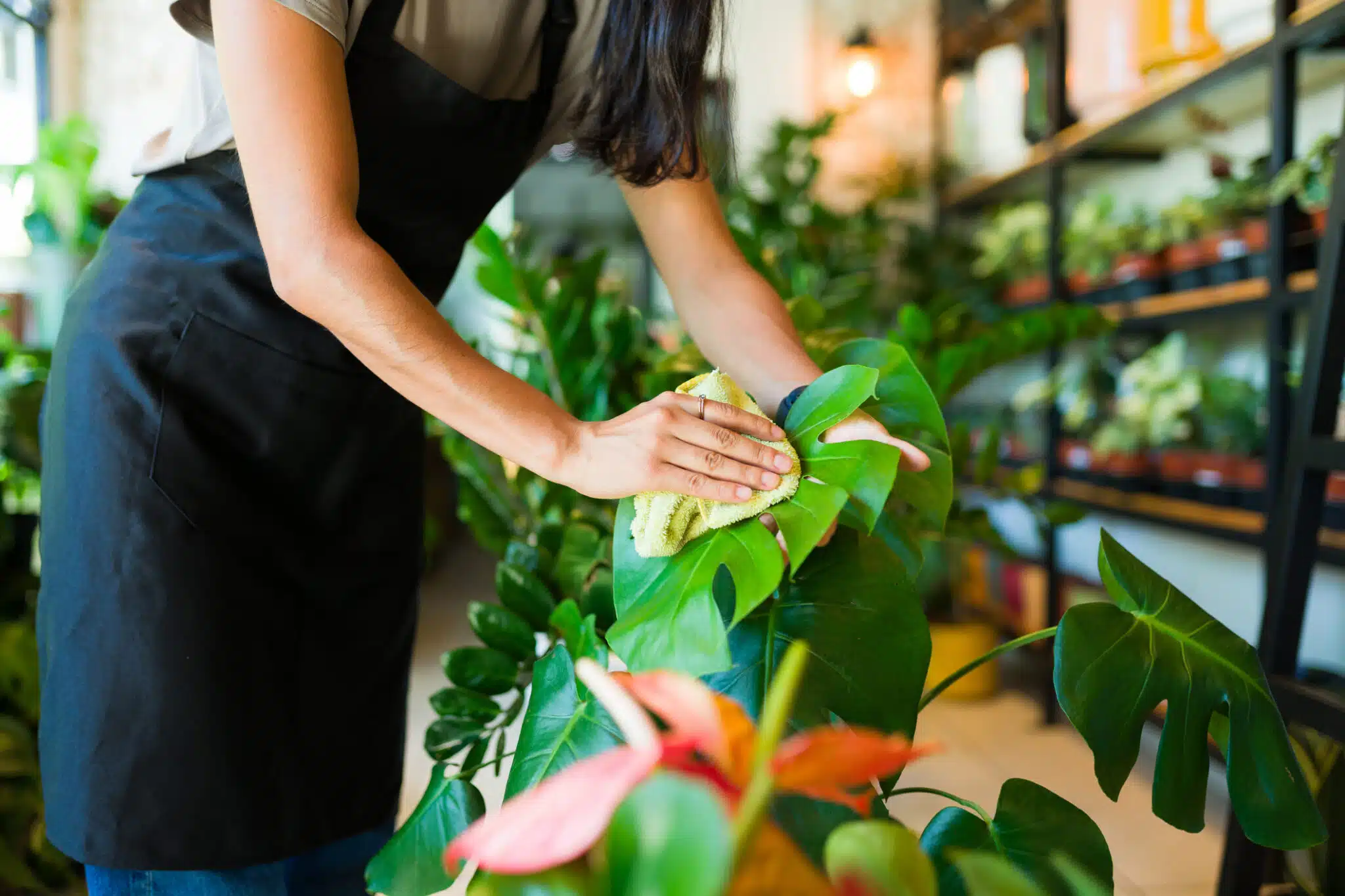 Le geste magique et super simple : comment donner un coup d'&eacute;clat aux feuilles sans produit