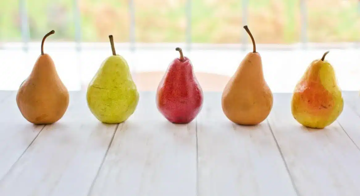 Quand la poire fait la star : bien choisir sa variété selon la recette