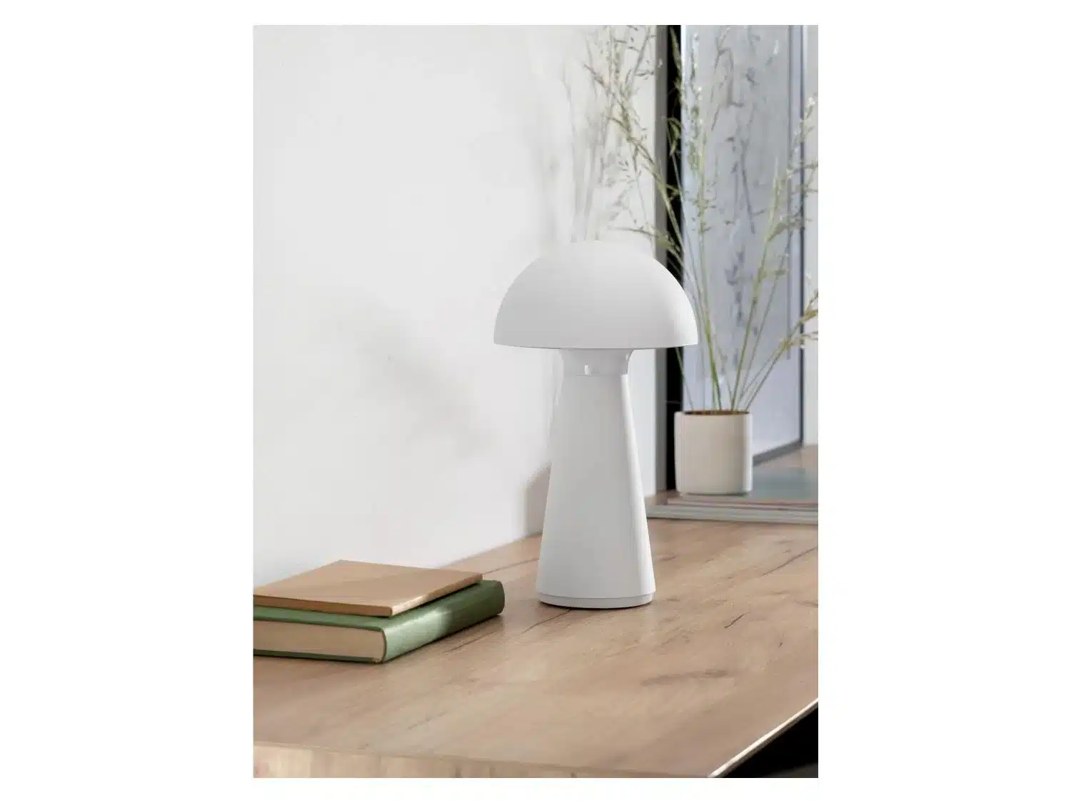 Le match LIDL vs ACTION : &eacute;conomie, style et fonctionnalit&eacute;s pass&eacute;s au crible