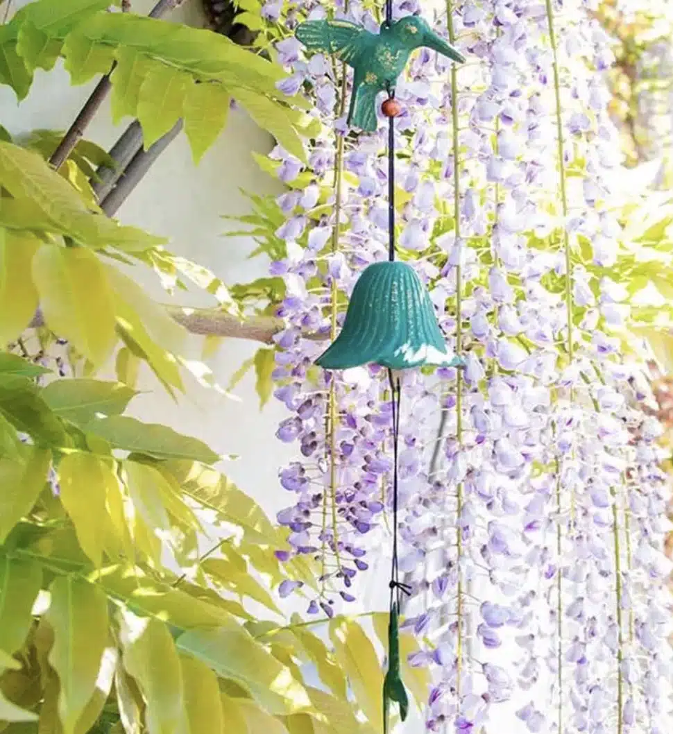 M&eacute;lodies dans l'air : pourquoi les oiseaux succombent &agrave; cet appel