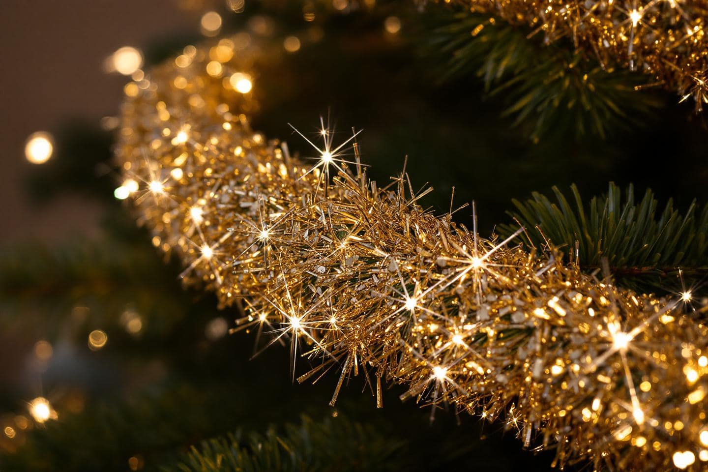 Ce Sapin ACTION Change Tout Petit Prix Grande Allure Et Z ro ce-sapin-action-change-tout-petit-prix-grande-allure-et-z-ro