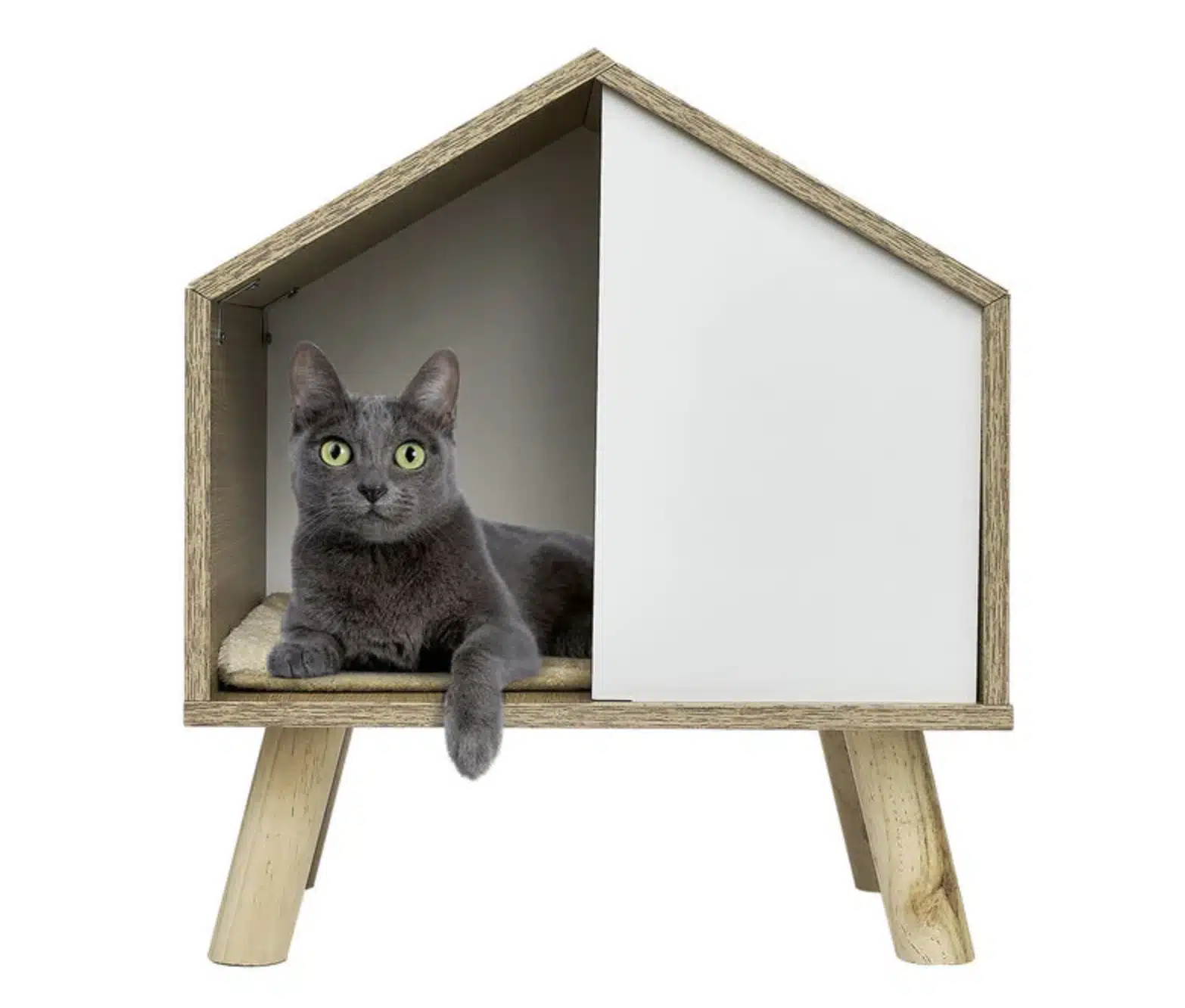 Le chic sur pattes : pourquoi il va adorer prendre de la hauteur