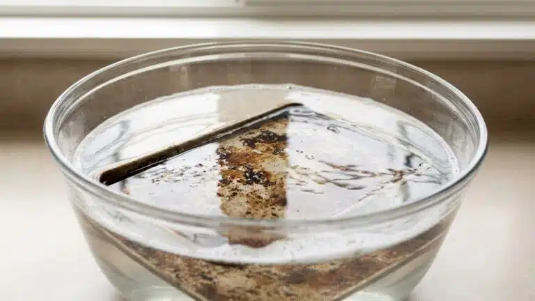 Fini de gratter la l&egrave;chefrite incrust&eacute;e de graisse cuite : depuis que je la laisse tremper dans ce bain une nuit, plus rie...