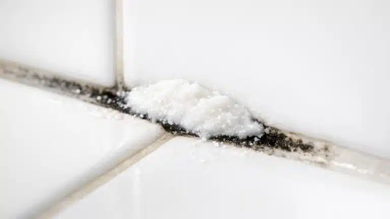 Je r&eacute;curais mes joints de douche noircis &agrave; la brosse sans r&eacute;sultat : le jour o&ugrave; une femme de m&eacute;nage m'a montr&eacute; le m&eacute;lange ...