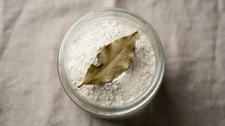 Ma grand-m&egrave;re glissait toujours une feuille de laurier dans son paquet de farine et ce n'&eacute;tait pas pour parfumer ses g&acirc;teaux