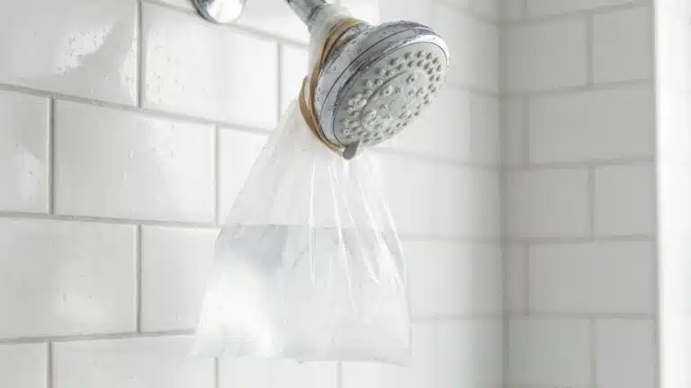 Fini le pommeau de douche qui crache de travers &agrave; cause du calcaire : voici ce que les plombiers nouent autour la nuit san...