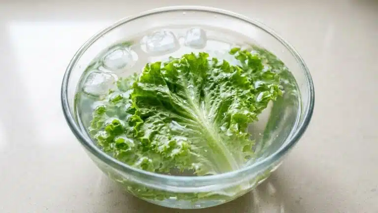 Ma voisine ne jette jamais une salade molle et pourtant ses feuilles croquent comme au march&eacute; : ce qu'elle laisse tremper ...