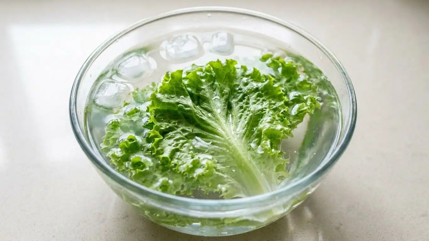 Ma voisine ne jette jamais une salade molle et pourtant ses feuilles croquent comme au march&eacute; : ce qu'elle laisse tremper ...