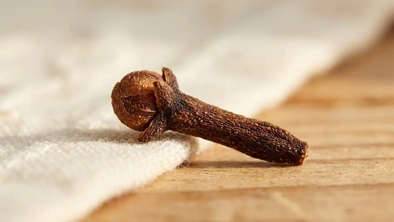 Mon grand-p&egrave;re gardait toujours des clous de girofle dans sa table de nuit et ce n'est pas pour parfumer ses tisanes