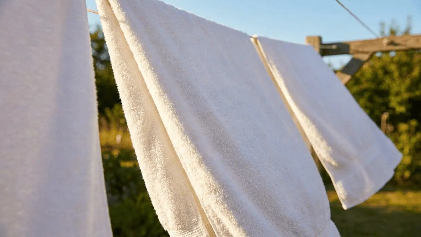 serviettes