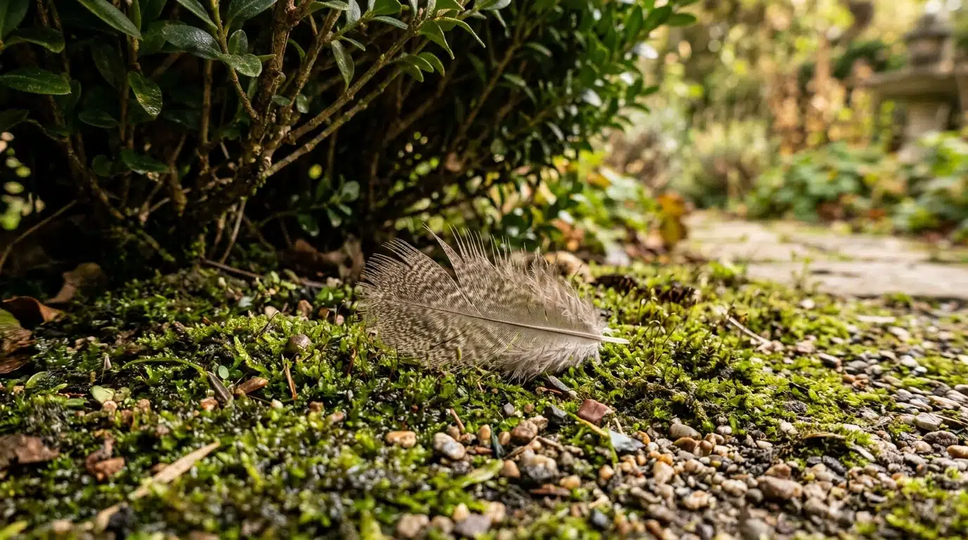 Il taille sa haie mitoyenne un dimanche de septembre, la commune lui envoie une amende pour un tout autre motif