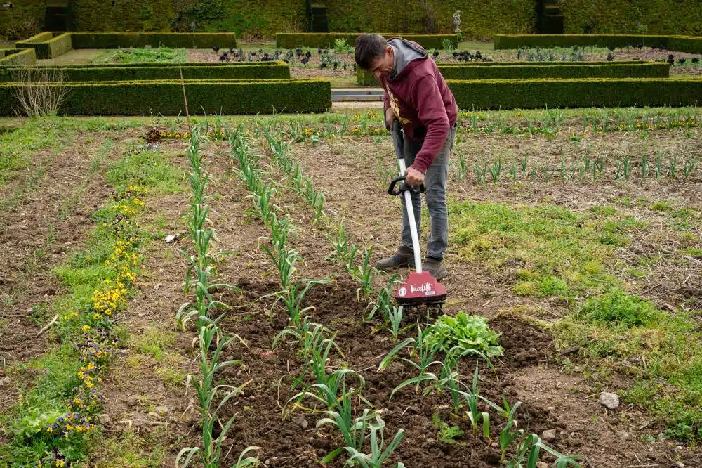 Le bioculteur Fairtill décompacte, aère et désherbe la terre de votre potager
